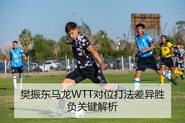 樊振东马龙WTT对位打法差异胜负关键解析